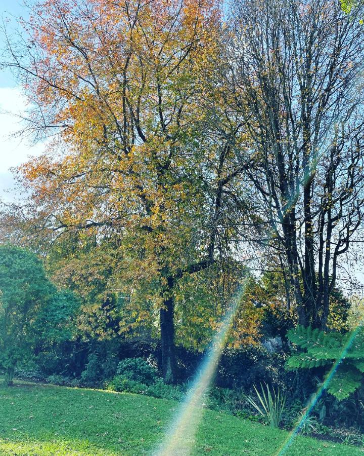 Clarendon Manor And Cottages โฮวิค ภายนอก รูปภาพ